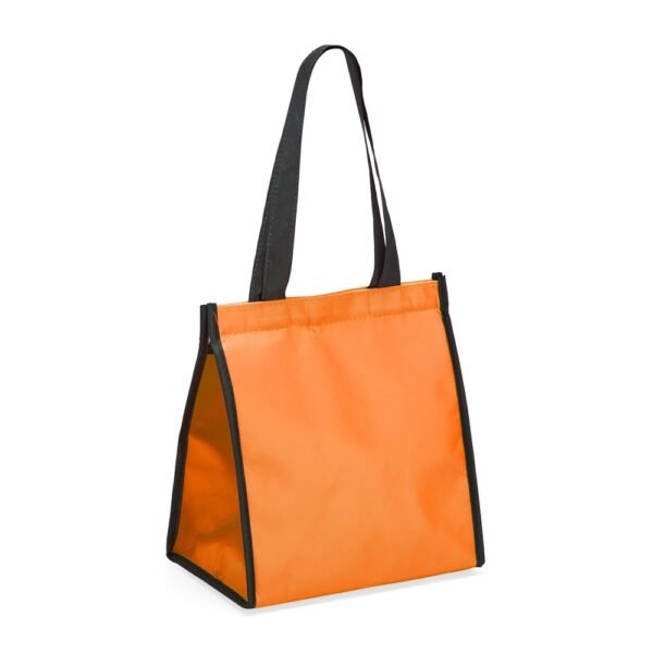 Bolsa Térmica 6 Litros - 02595 - Imagem 2